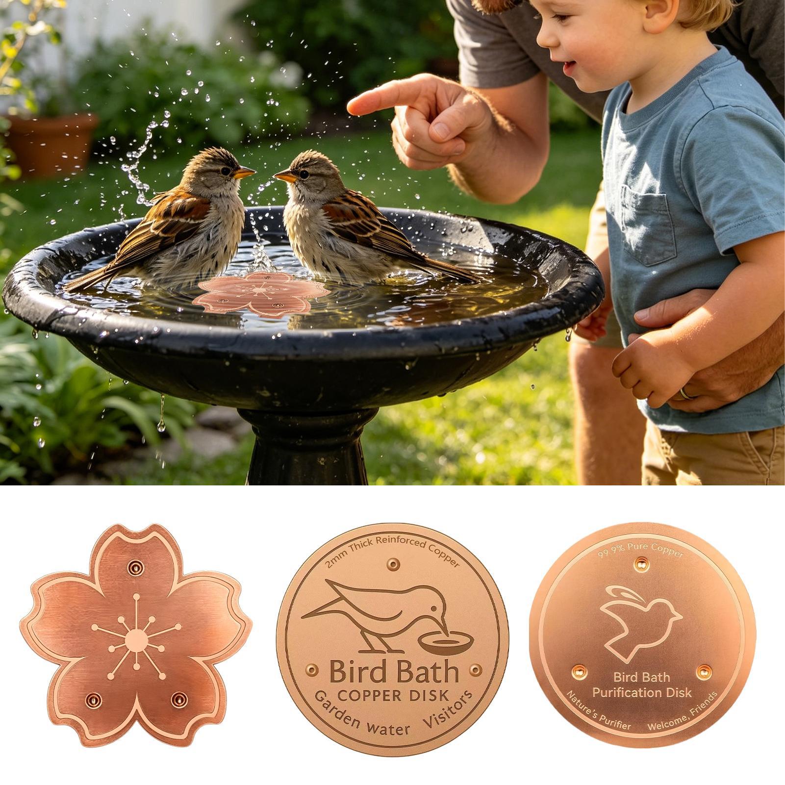 Copper For Bird Bath Safe Puri - Watch Es review and price